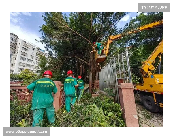 两岸运动员认养百棵小叶榕启动赛事纪念树养护计划助力环保传承 两岸运动员认养百棵小叶榕启动赛事纪念树养护计划助力环保传承