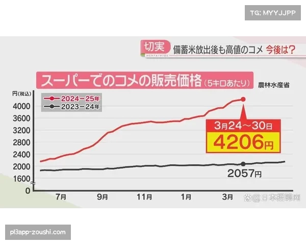 日本J联赛考虑实施工资帽制度以促进联赛公平竞争与财务健康